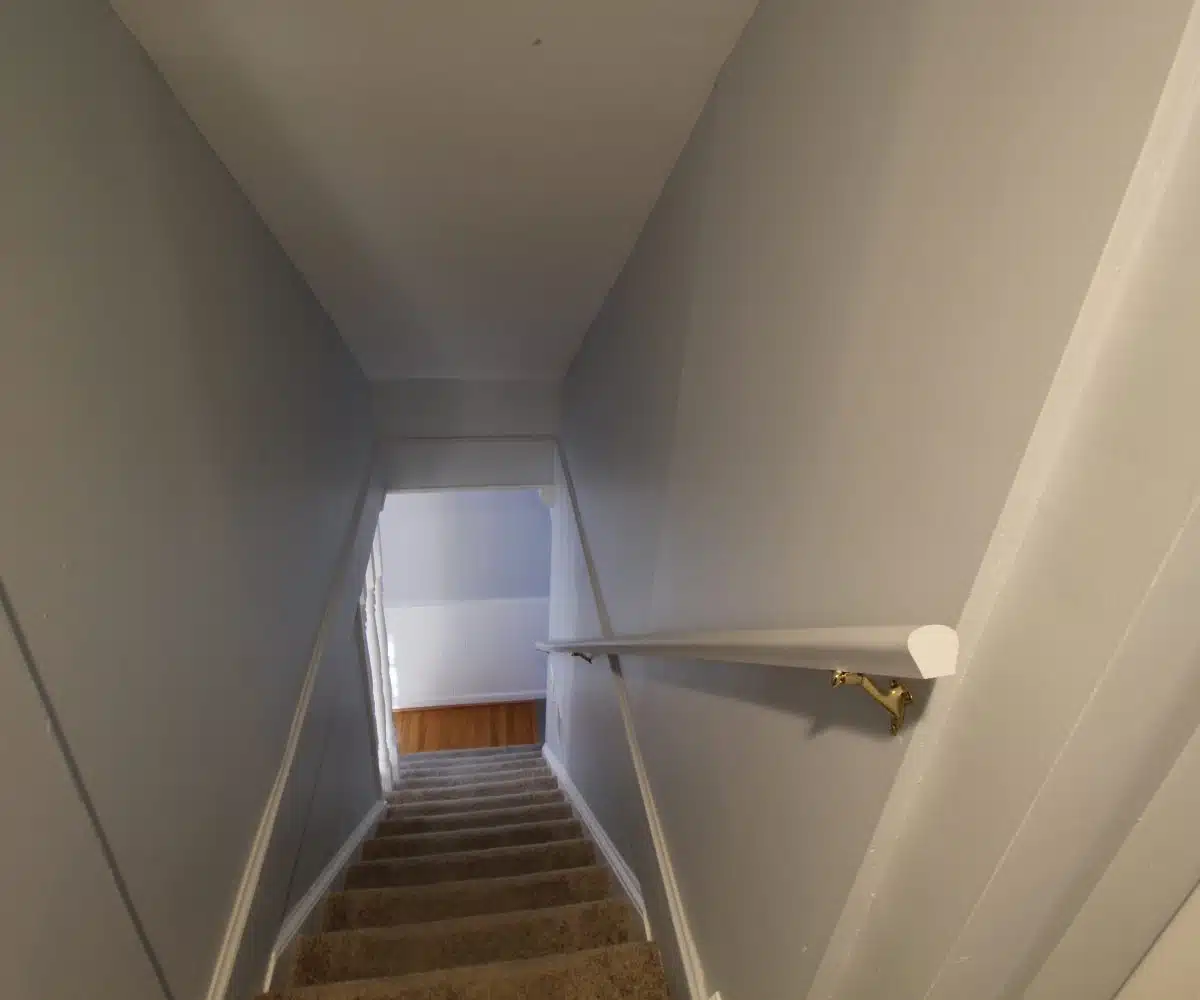Brown carpeted staircase leading downstairs.