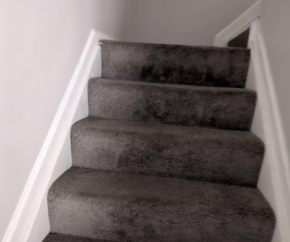 Alameda Townhomes carpeted staircase.