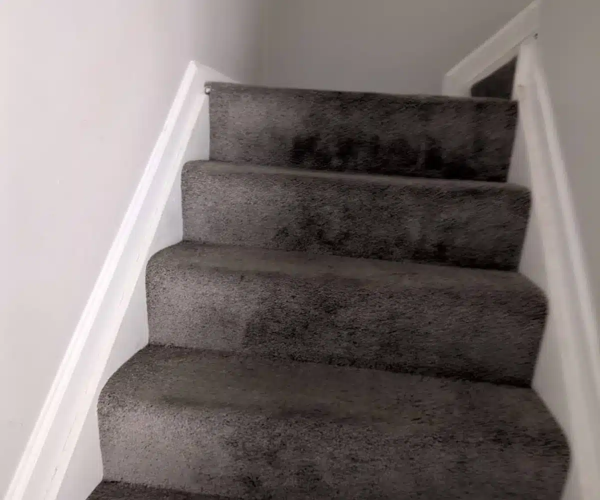 Alameda Townhomes carpeted staircase.