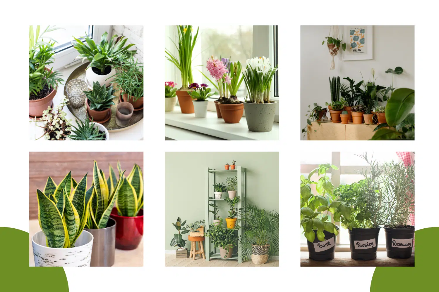 Apartment friendly gardening ideas.