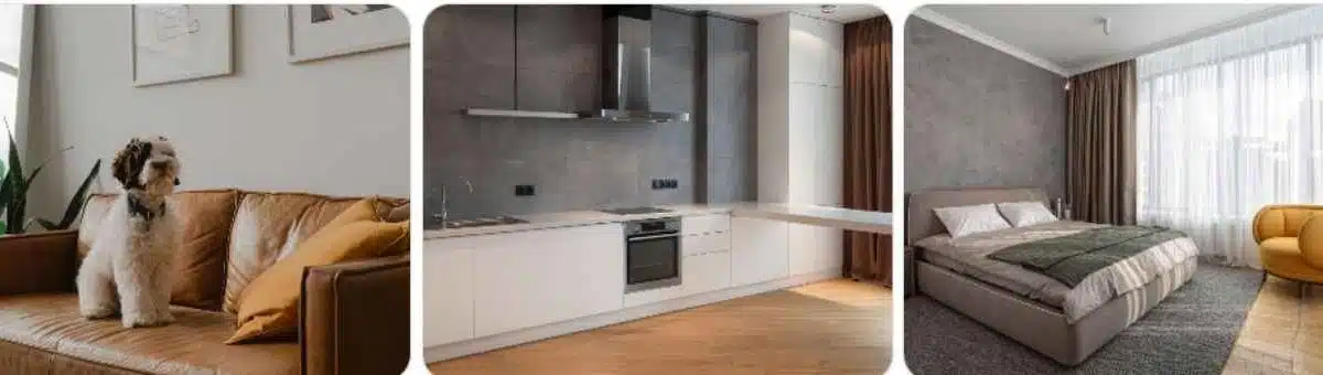 Housing Market and Living Options