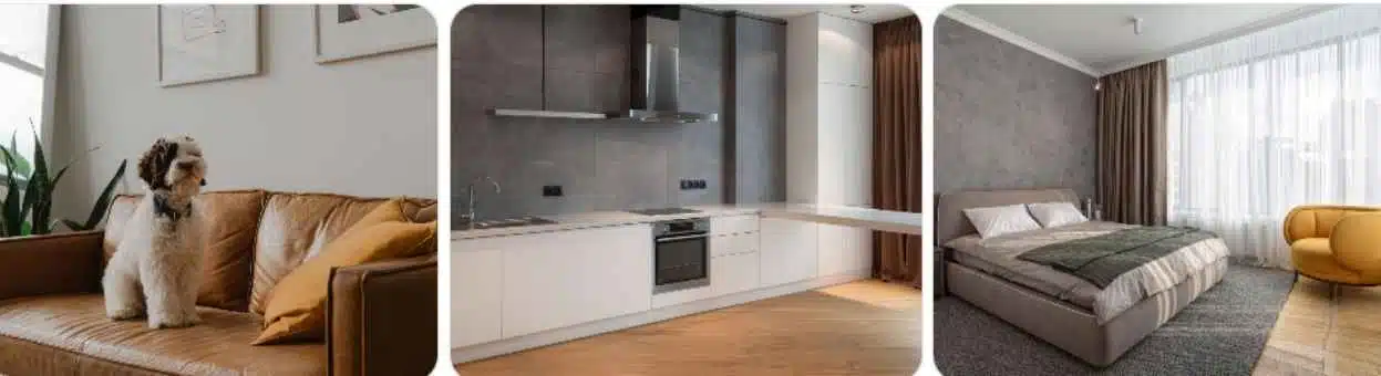 Housing Market and Living Options